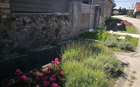 Patak Apartman, Diszel
